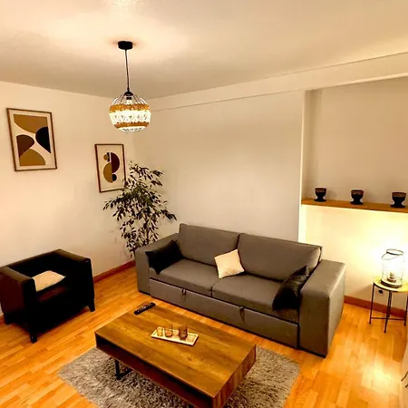 Tres Bel Et Spacieux 66m Carre Apartment